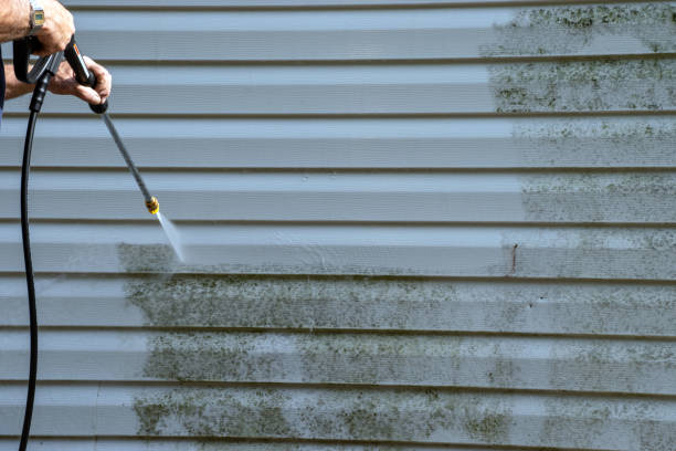 Affordable Siding Repair and Maintenance Services in Paragould, AR